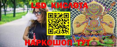 PSILOCYBIN Пенза