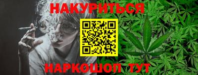 шишки Партизанск